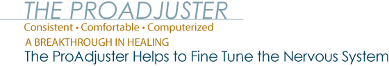 ProAdjuster Logo for Info